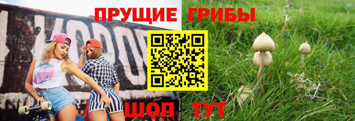 Галлюциногенные грибы MAGIC MUSHROOMS  Вход с VPN  Новочеркасск 